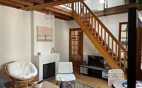 Le Duplex De La Reine - T3 Cosy Au Coeur De Chambery
